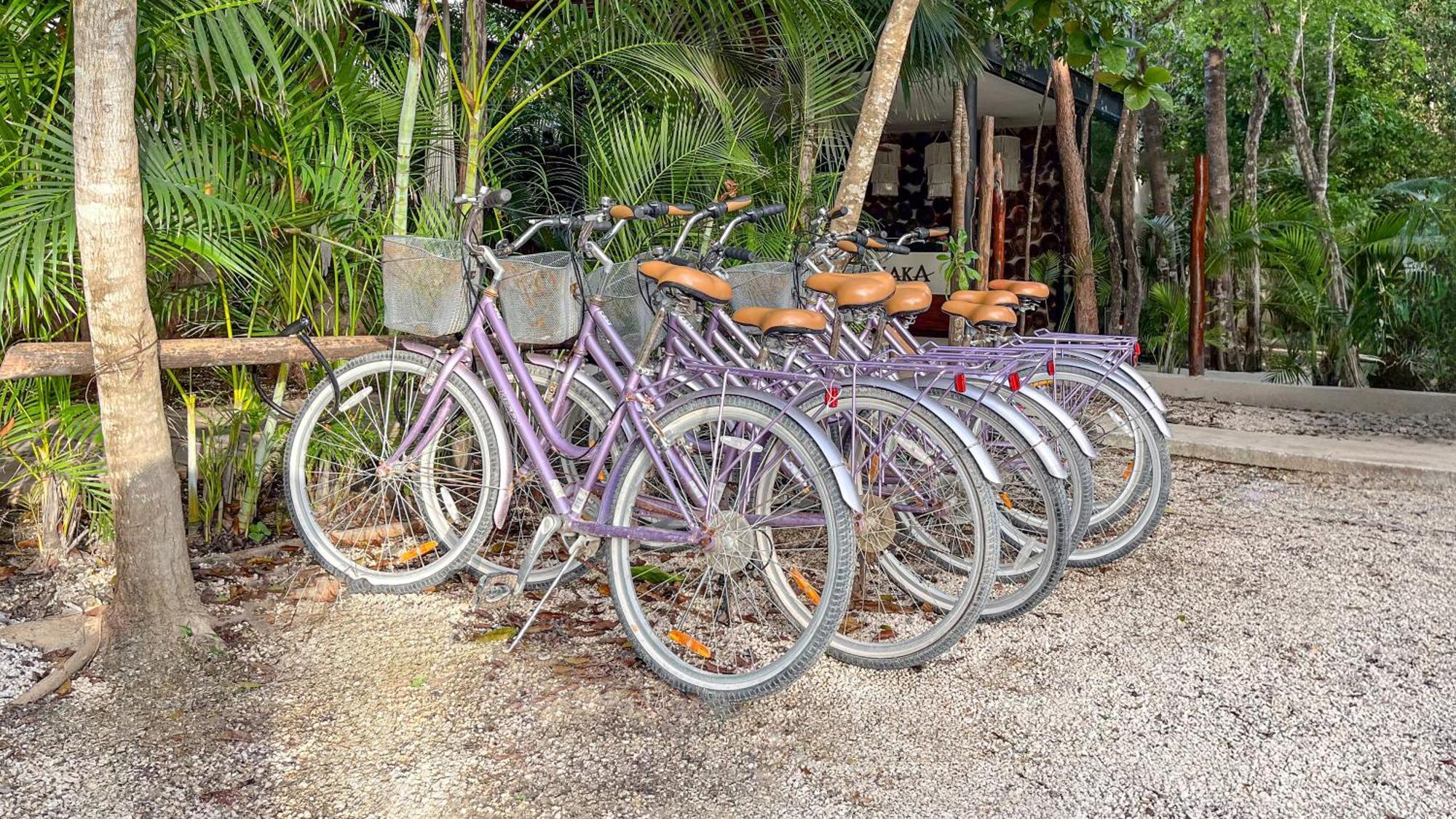 Amaka Calma Tulum Hotel Exterior foto